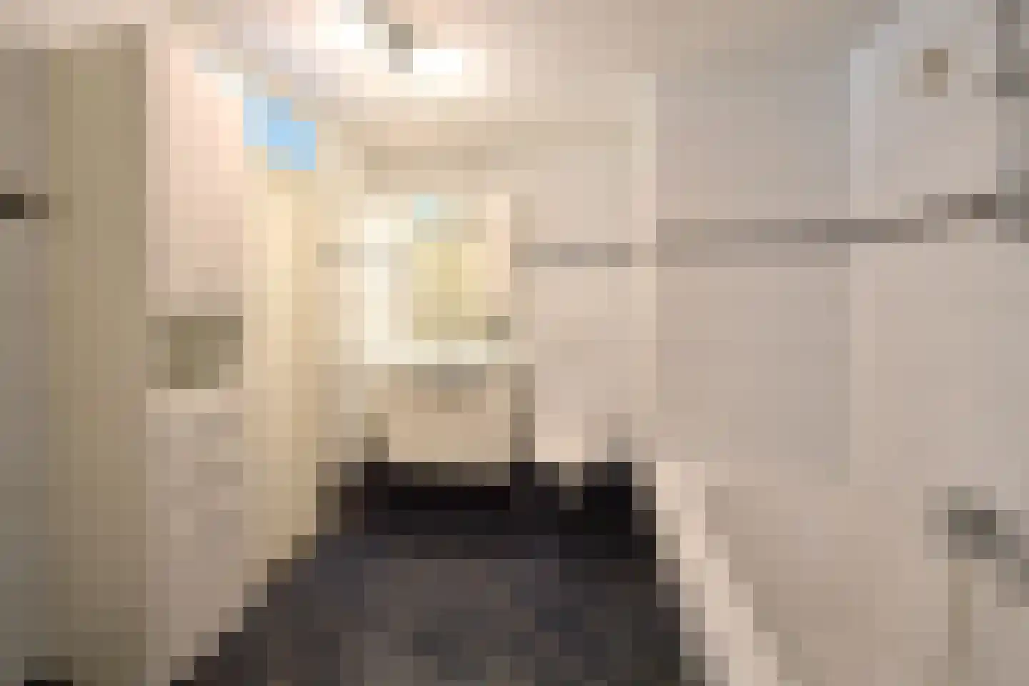 Karekiet 5 Blaricum thumbnail 16