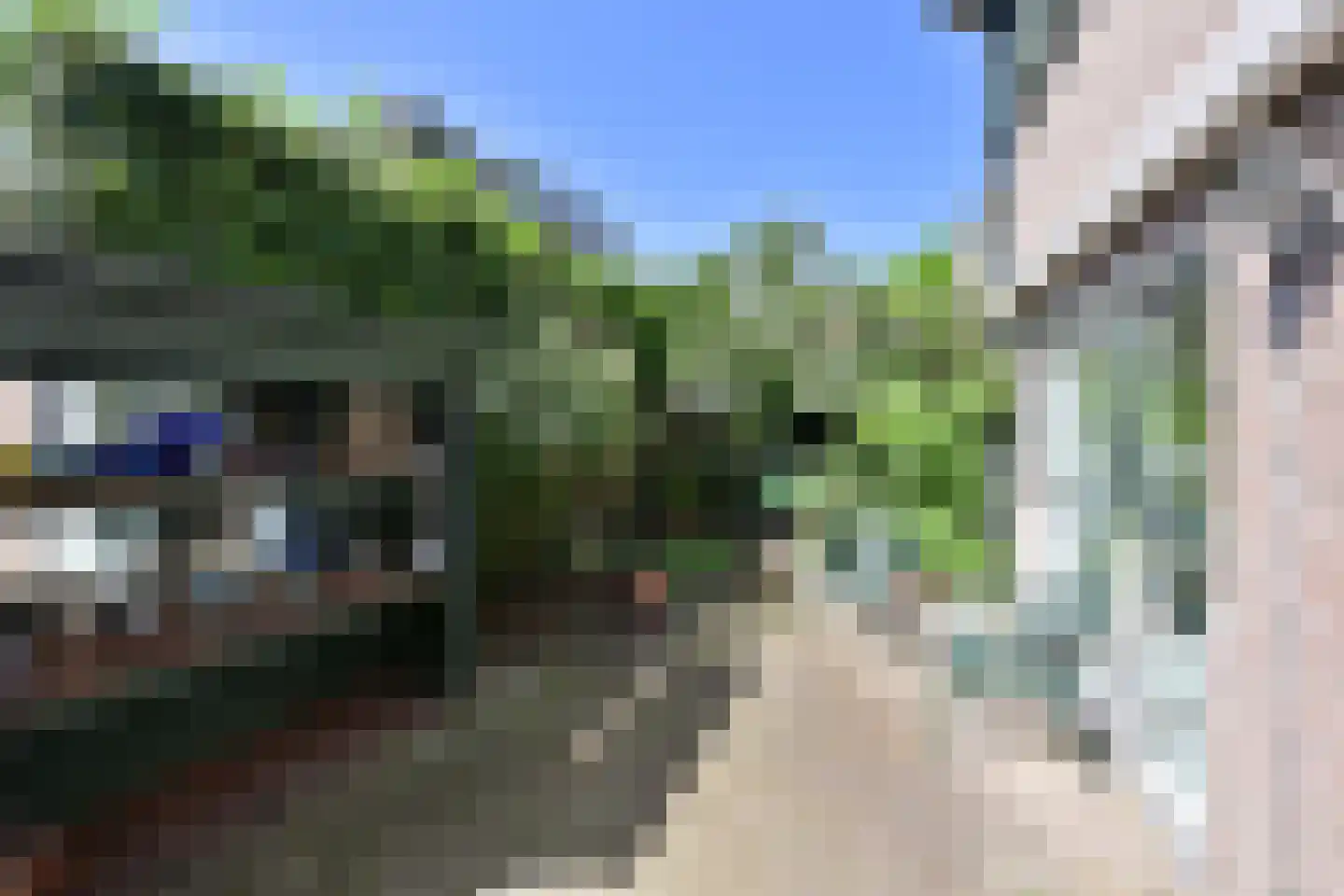 Karekiet 5 Blaricum thumbnail 19