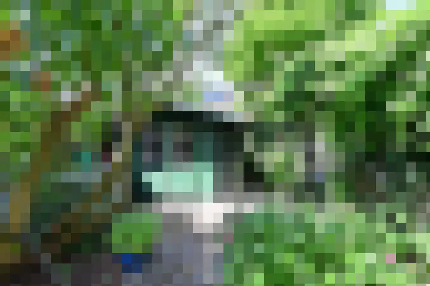 Karekiet 5 Blaricum thumbnail 20