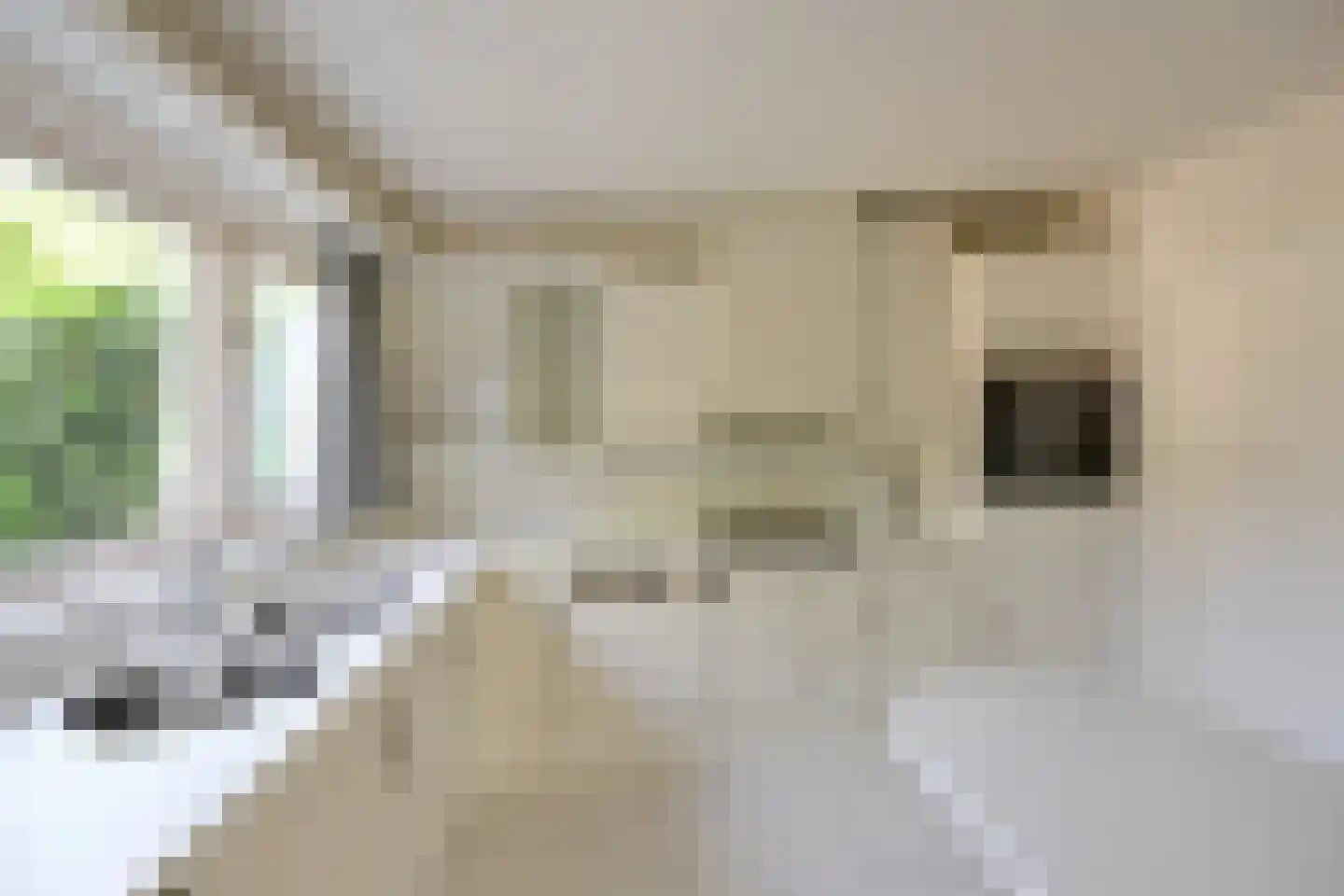 Karekiet 5 Blaricum thumbnail 7