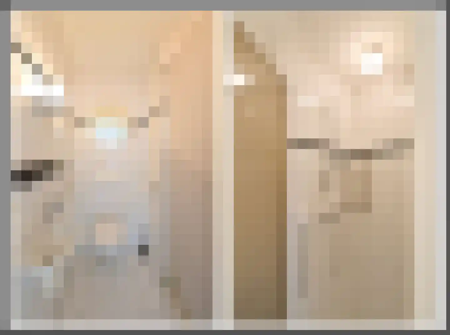 Karekiet 5 Blaricum thumbnail 8