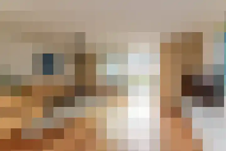 Karekiet 53 's-Gravenzande thumbnail 10