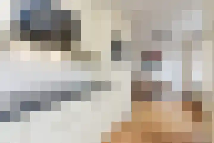 Karekiet 53 's-Gravenzande thumbnail 15