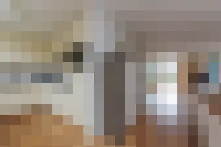 Karekiet 53 's-Gravenzande thumbnail 16