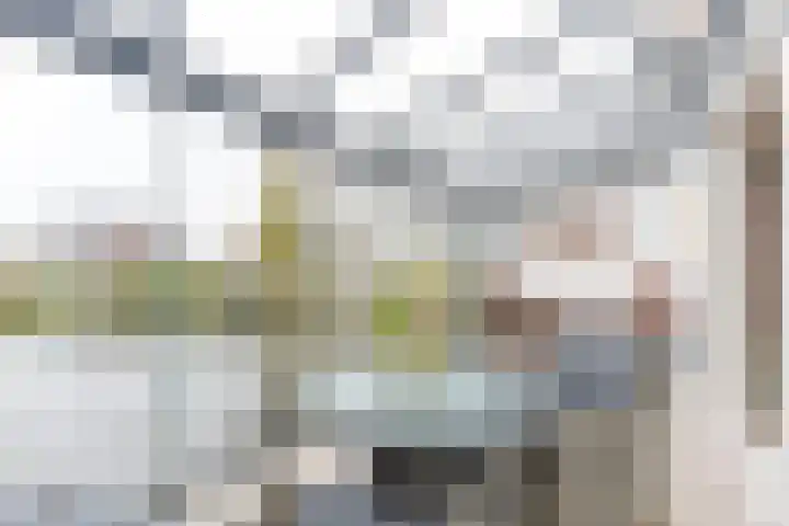 Karekiet 53 's-Gravenzande thumbnail 20