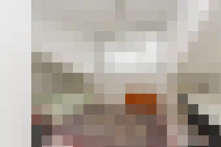 Karekiet 53 's-Gravenzande thumbnail 32