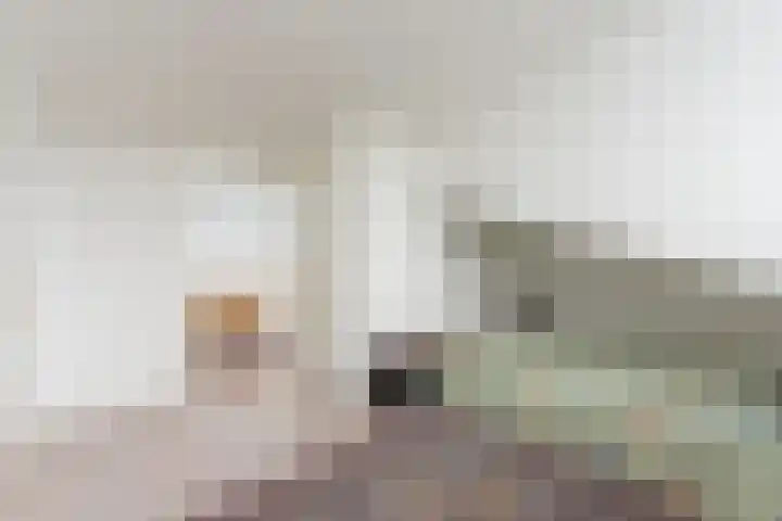 Karekiet 53 's-Gravenzande thumbnail 33