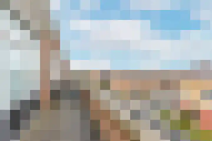 Karekiet 53 's-Gravenzande thumbnail 34