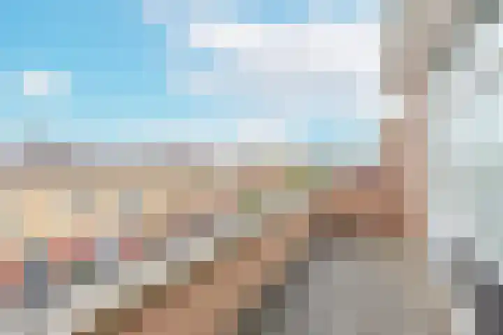 Karekiet 53 's-Gravenzande thumbnail 35