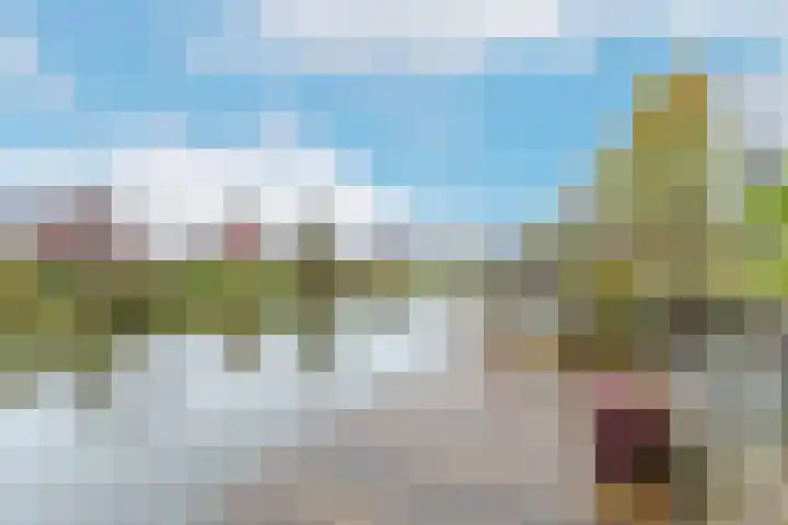 Karekiet 53 's-Gravenzande thumbnail 40