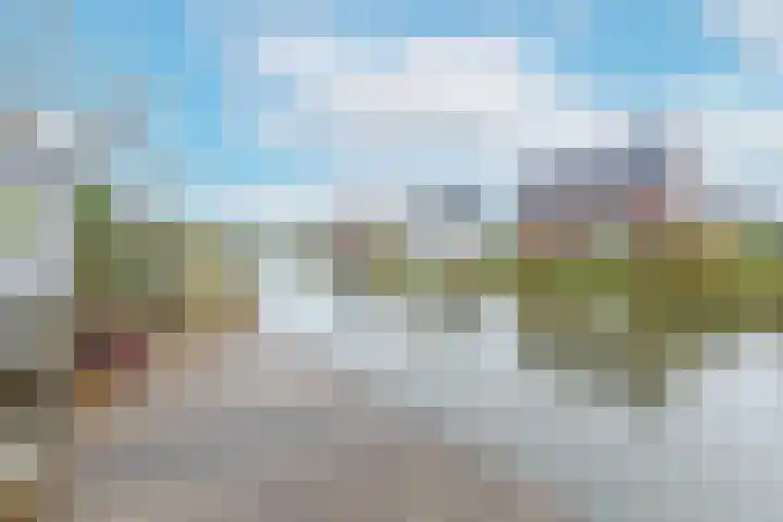 Karekiet 53 's-Gravenzande thumbnail 41
