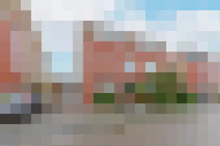 Karekiet 53 's-Gravenzande thumbnail 44