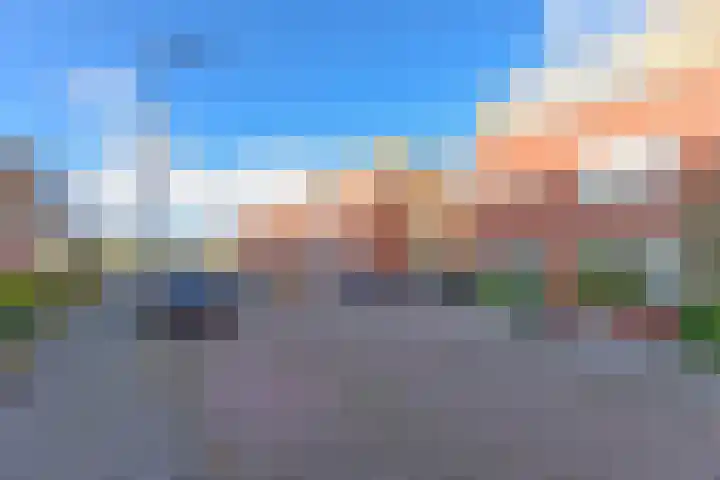 Karekiet 53 's-Gravenzande thumbnail 45