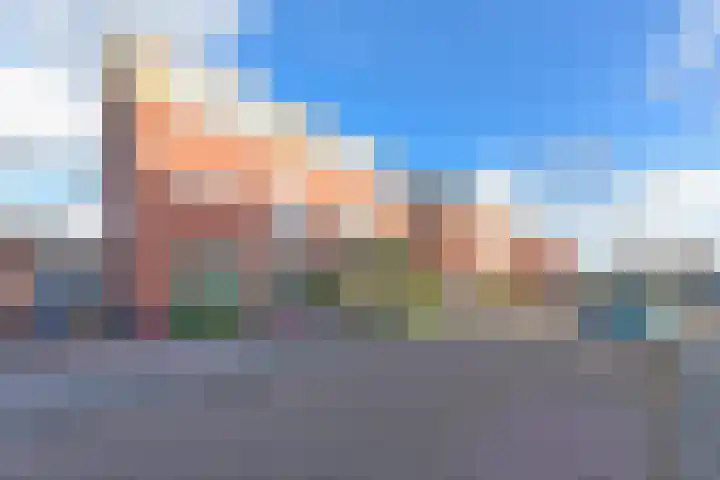Karekiet 53 's-Gravenzande thumbnail 46
