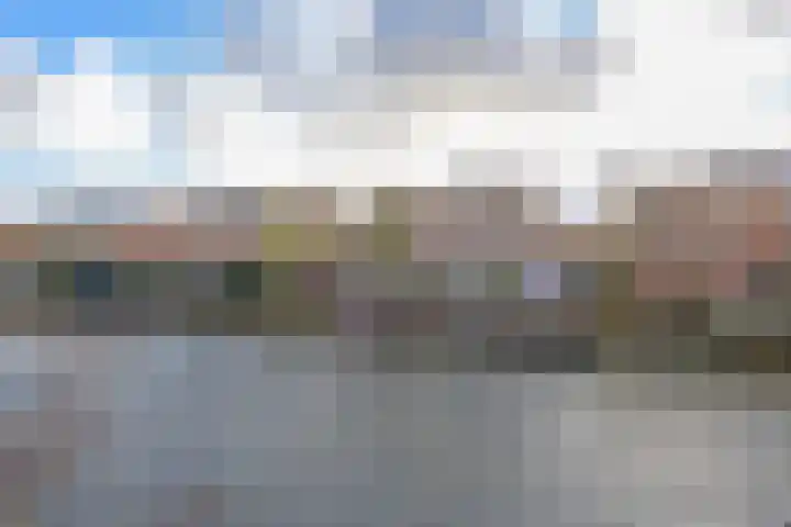 Karekiet 53 's-Gravenzande thumbnail 47
