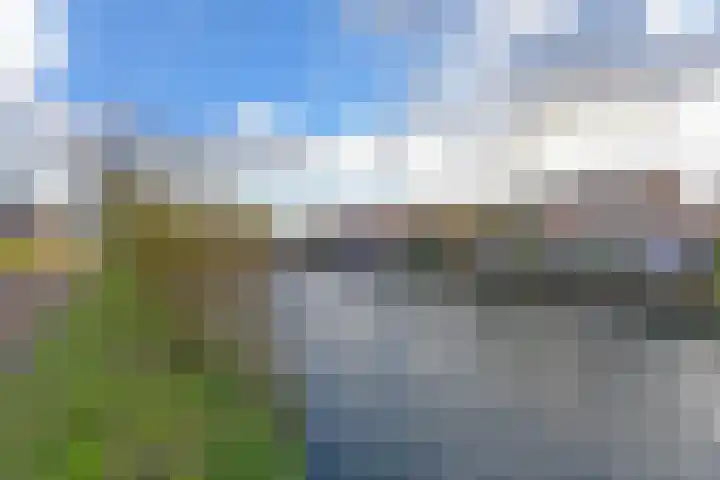 Karekiet 53 's-Gravenzande thumbnail 48