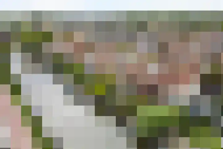 Karekiet 53 's-Gravenzande thumbnail 49