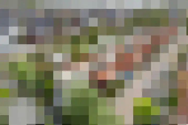 Karekiet 53 's-Gravenzande thumbnail 50