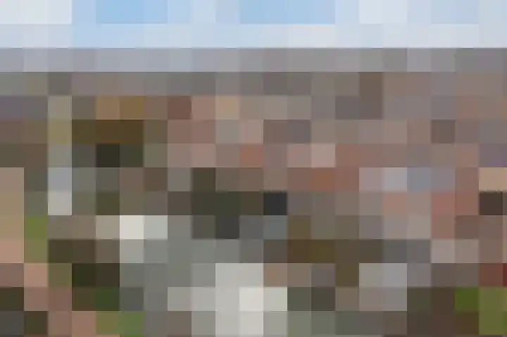 Karekiet 53 's-Gravenzande thumbnail 52