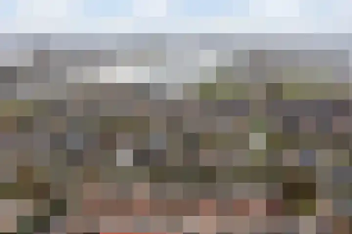Karekiet 53 's-Gravenzande thumbnail 54