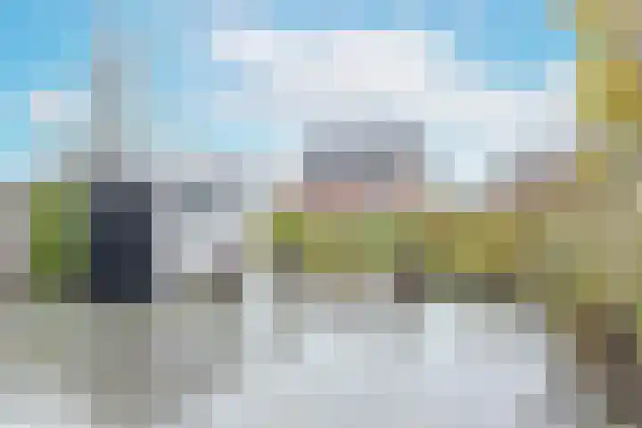 Karekiet 53 's-Gravenzande thumbnail 6