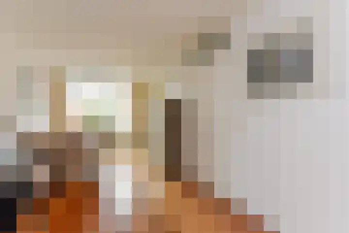Karekiet 53 's-Gravenzande thumbnail 9