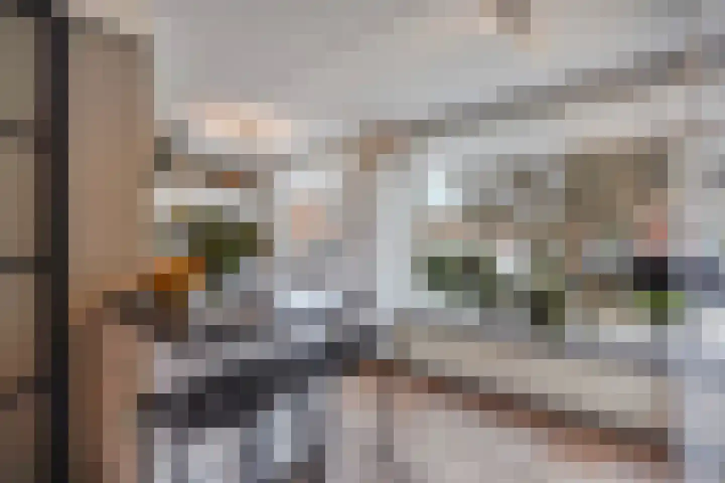 Karekiet 55 's-Gravenzande thumbnail 10
