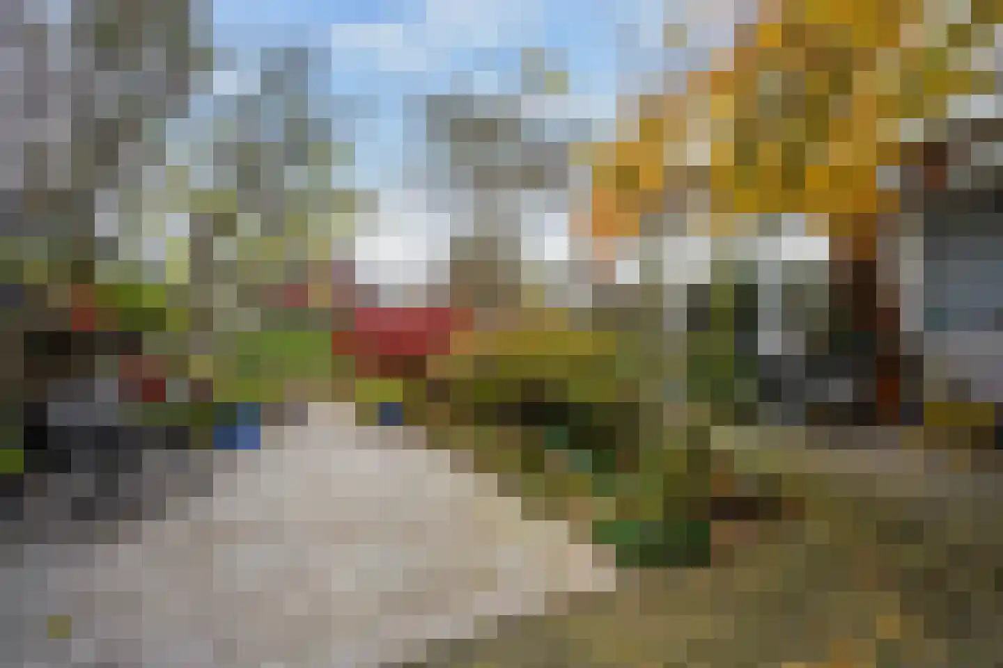 Karekiet 55 's-Gravenzande thumbnail 17