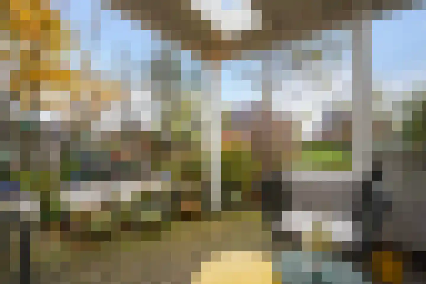 Karekiet 55 's-Gravenzande thumbnail 19
