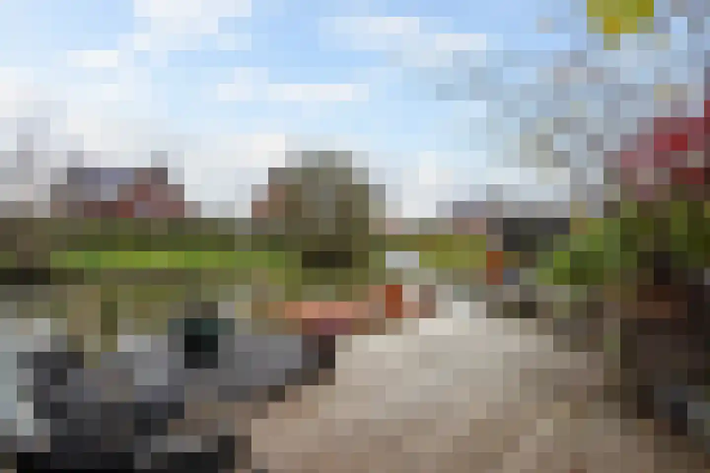 Karekiet 55 's-Gravenzande thumbnail 24