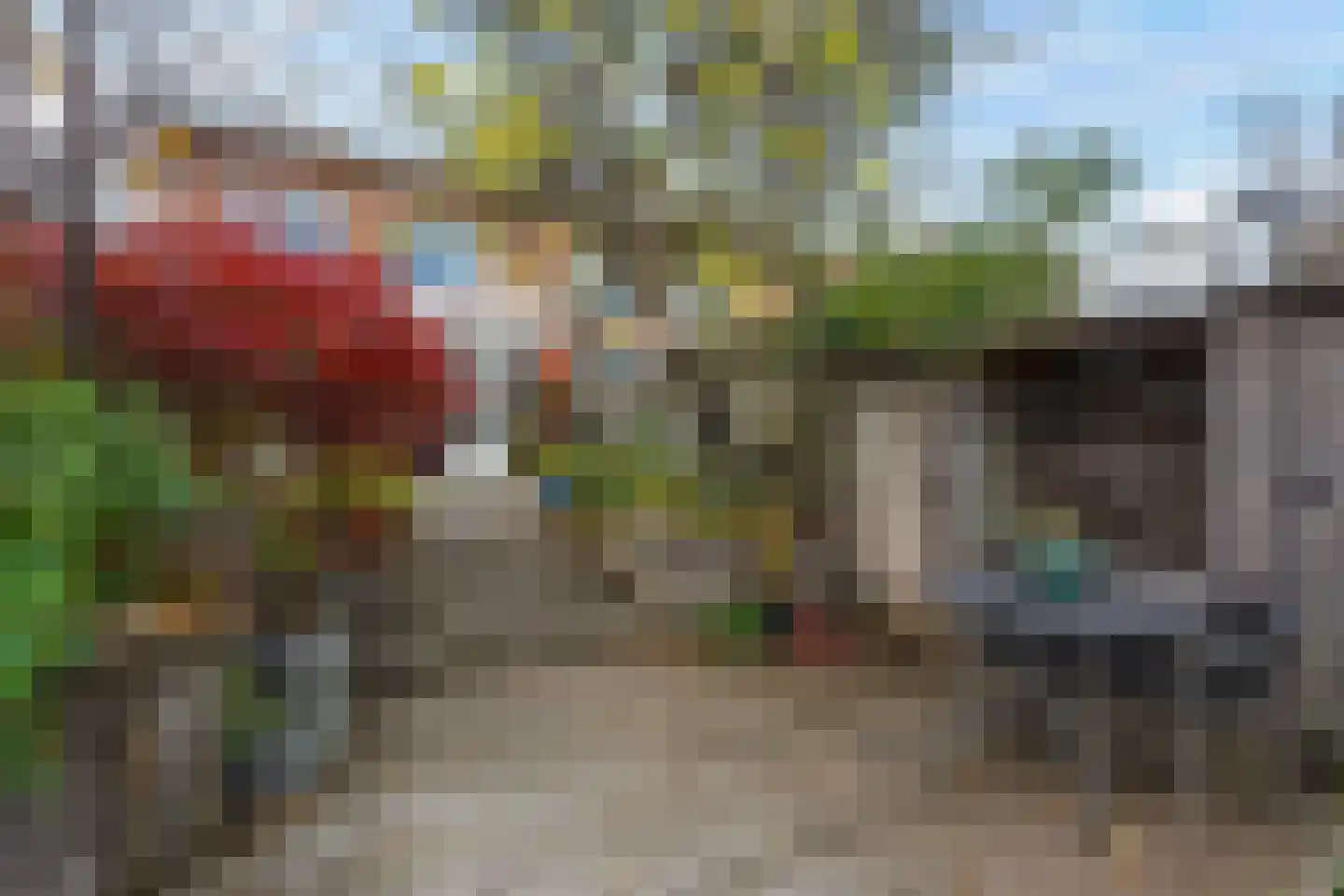 Karekiet 55 's-Gravenzande thumbnail 25