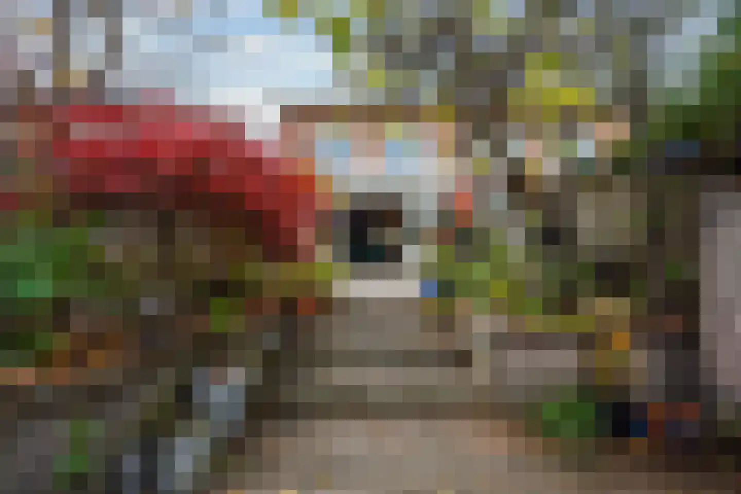 Karekiet 55 's-Gravenzande thumbnail 26