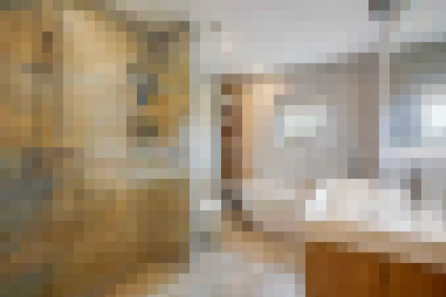 Karekiet 55 's-Gravenzande thumbnail 34