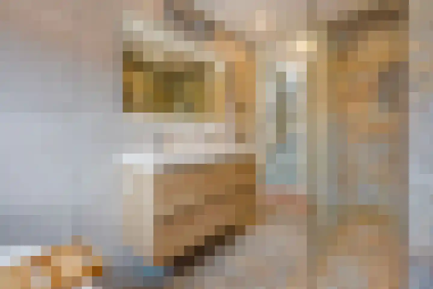 Karekiet 55 's-Gravenzande thumbnail 37