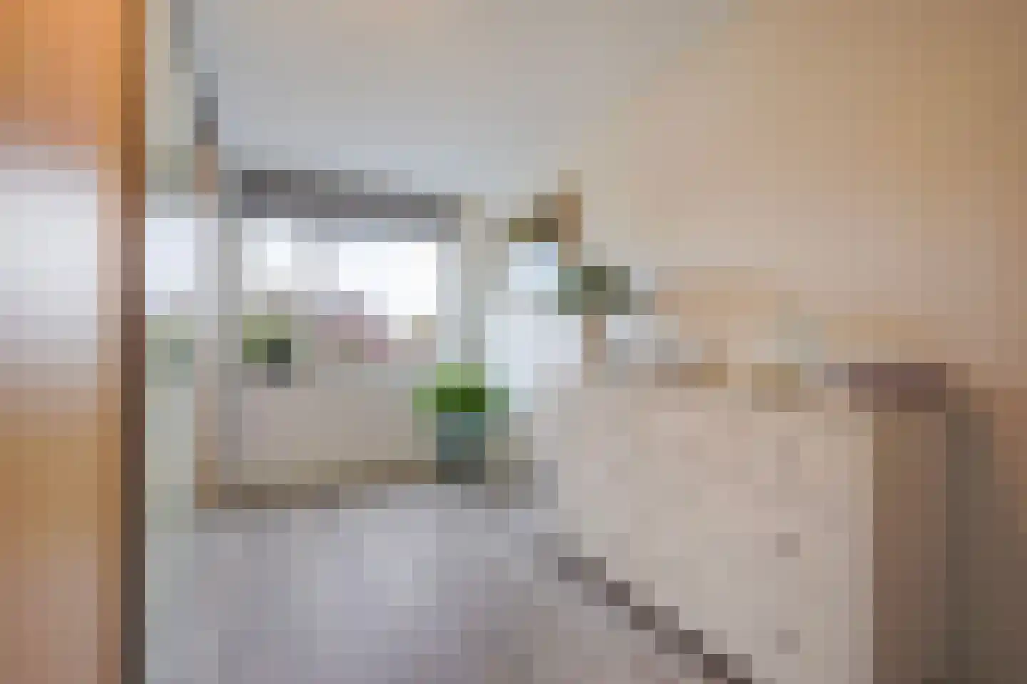 Karekiet 55 's-Gravenzande thumbnail 39