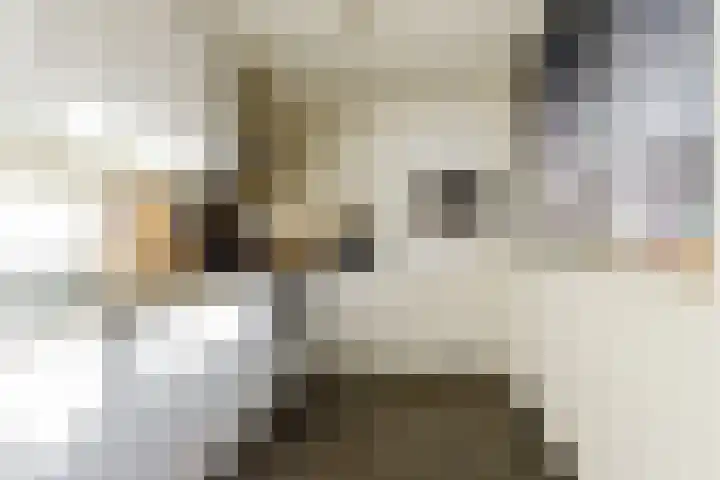 Karekiet 59 's-Gravenzande thumbnail 12