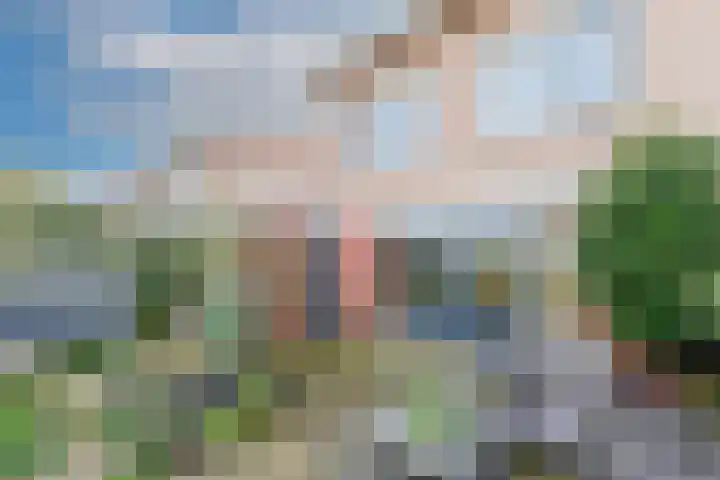 Karekiet 59 's-Gravenzande thumbnail 14
