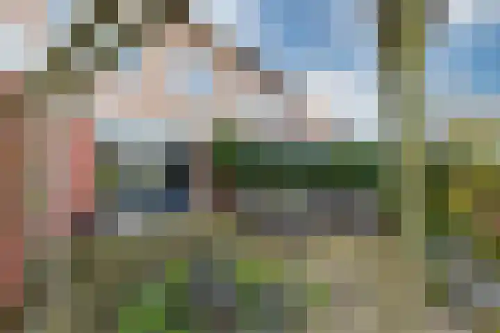 Karekiet 59 's-Gravenzande thumbnail 15
