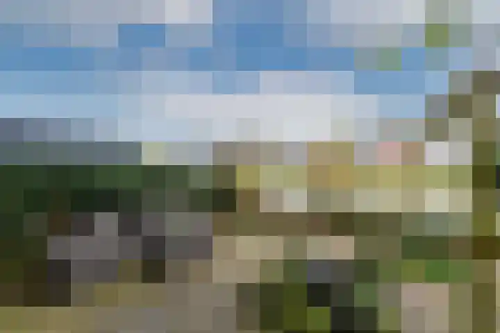 Karekiet 59 's-Gravenzande thumbnail 16
