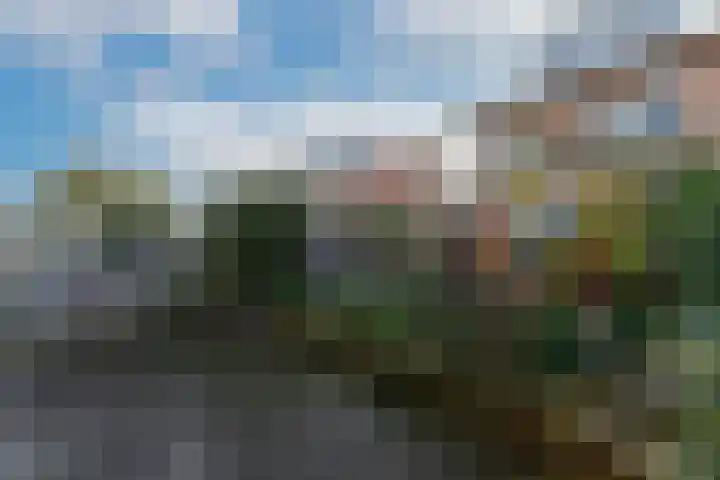 Karekiet 59 's-Gravenzande thumbnail 19