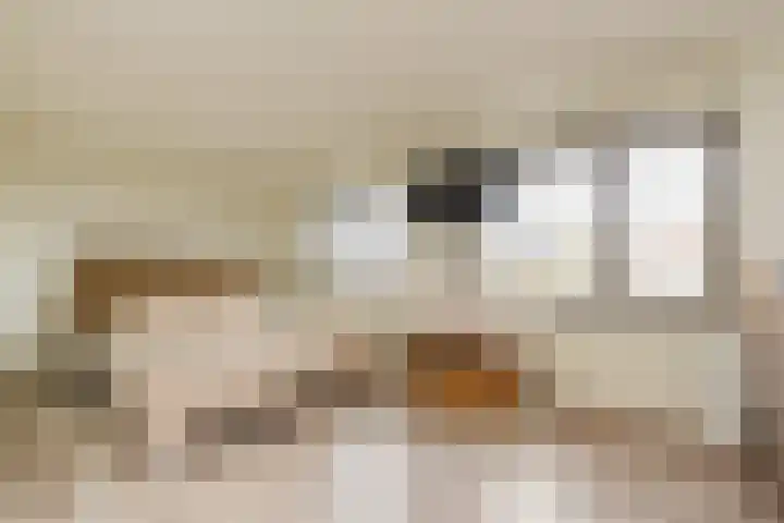 Karekiet 59 's-Gravenzande thumbnail 23