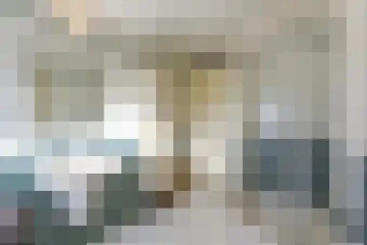 Karekiet 59 's-Gravenzande thumbnail 24