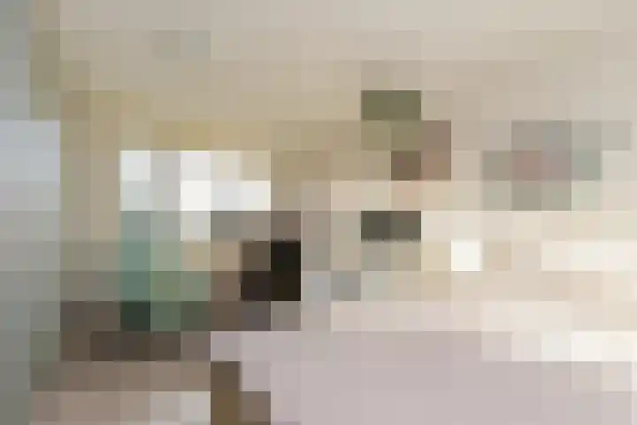 Karekiet 59 's-Gravenzande thumbnail 27
