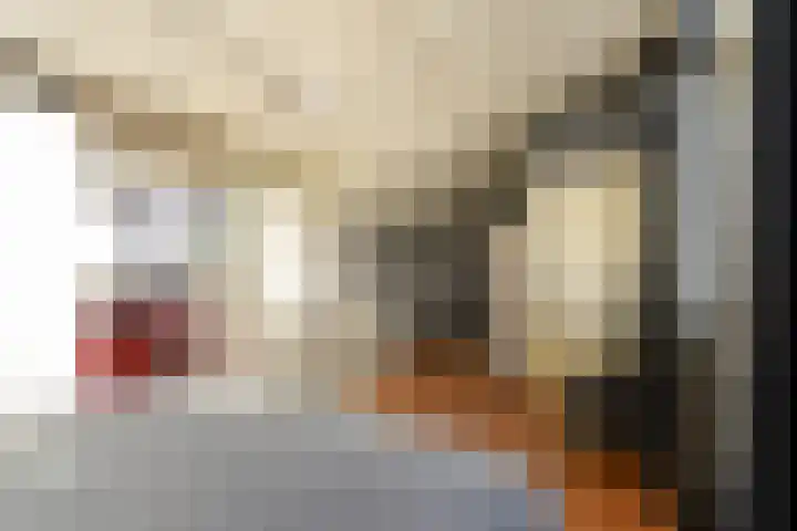 Karekiet 59 's-Gravenzande thumbnail 30
