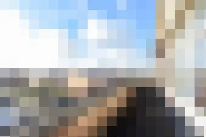 Karekiet 59 's-Gravenzande thumbnail 31