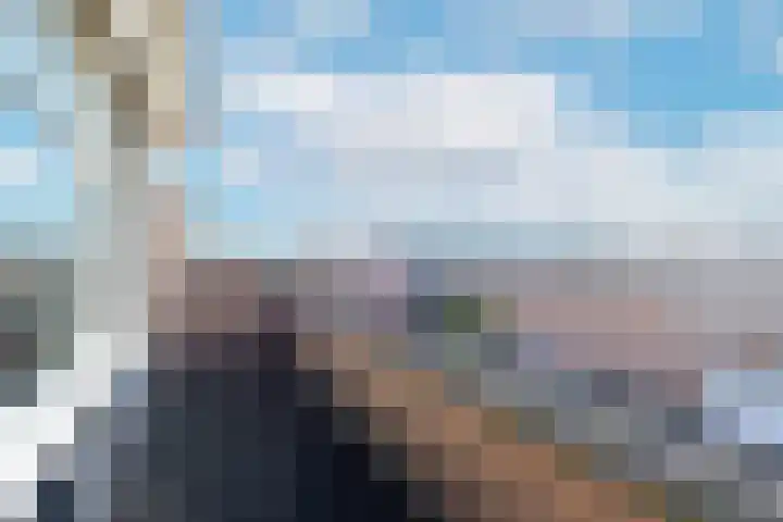Karekiet 59 's-Gravenzande thumbnail 32