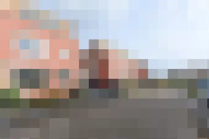 Karekiet 59 's-Gravenzande thumbnail 35