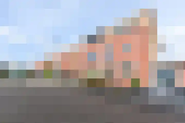 Karekiet 59 's-Gravenzande thumbnail 36