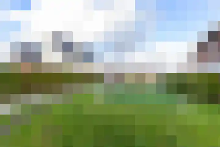 Karekiet 59 's-Gravenzande thumbnail 37
