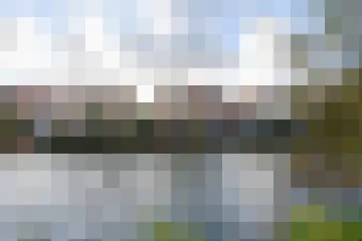 Karekiet 59 's-Gravenzande thumbnail 38